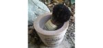 Colannino's Sicilian® Soapstone Shavebowl & Black-Tip Badger-Hair Brush Set (Black Olive Lettering)